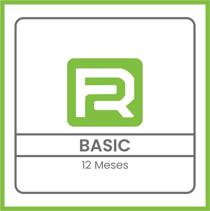 PLANO BASIC- 12 Meses